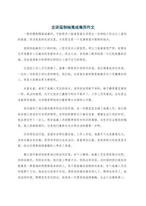走进强制隔离戒毒所作文