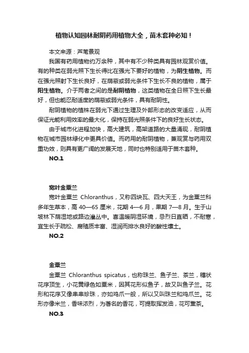 植物认知园林耐阴药用植物大全，苗木套种必知！