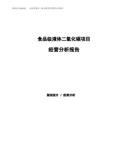 食品级液体二氧化碳项目经营分析报告(项目总结分析)