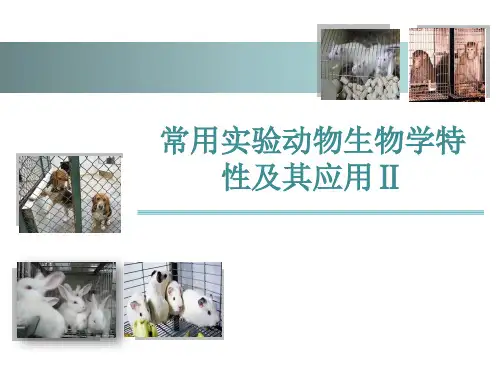 实验动物学PPT：常用实验动物的生物学特性和应用(2)