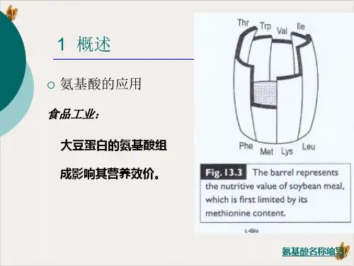 氨基酸发酵工艺ppt课件
