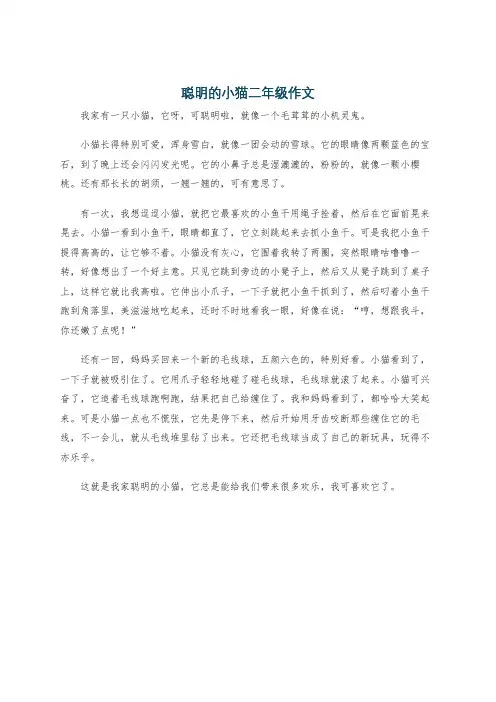 聪明的小猫二年级作文