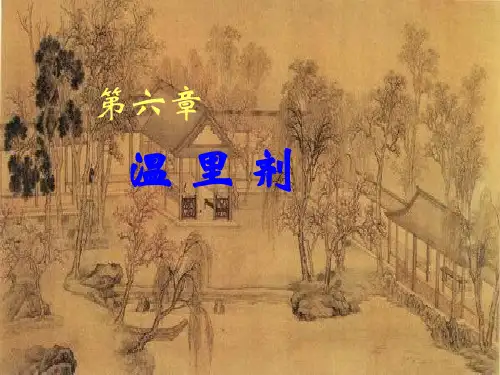 中医方剂学第6章温里剂