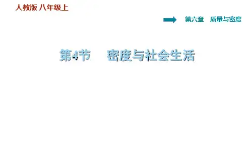《密度与社会生活》ppt 人教版1