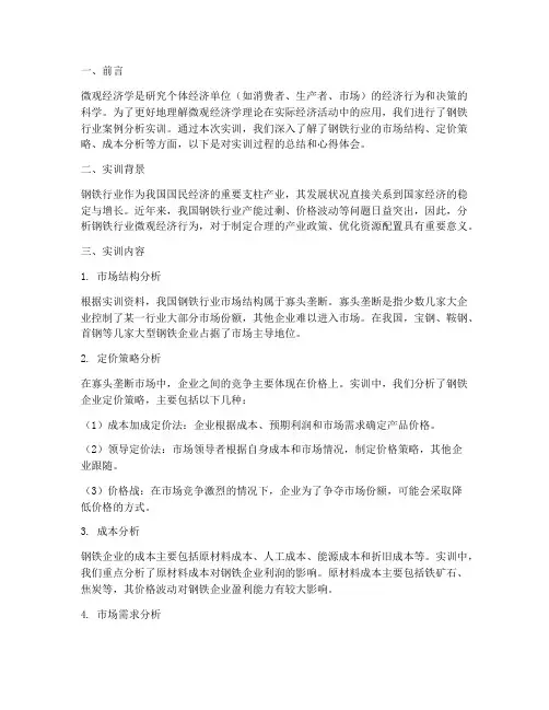 微观经济学实训报告钢铁