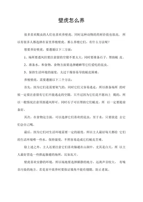 壁虎怎么养