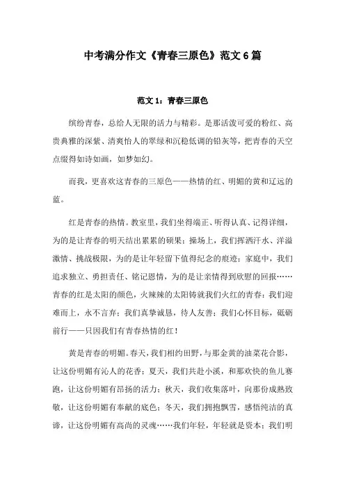 青春三原色作文800字中考