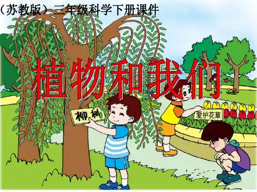 三年级下植物和我们苏教版