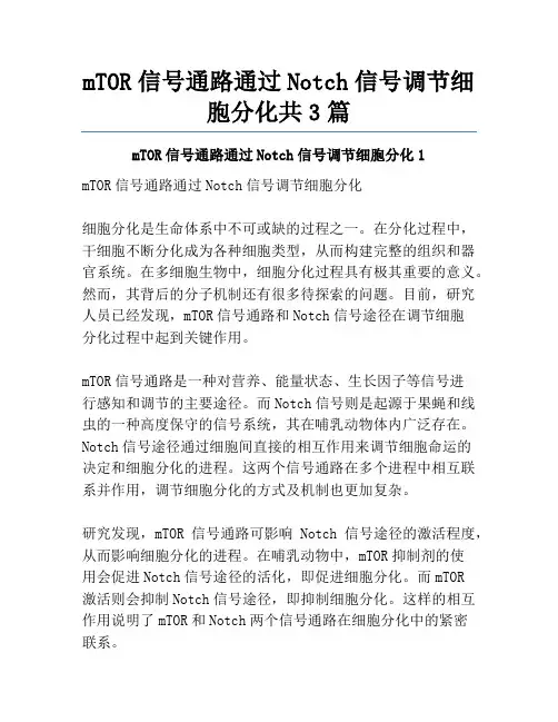 mTOR信号通路通过Notch信号调节细胞分化共3篇