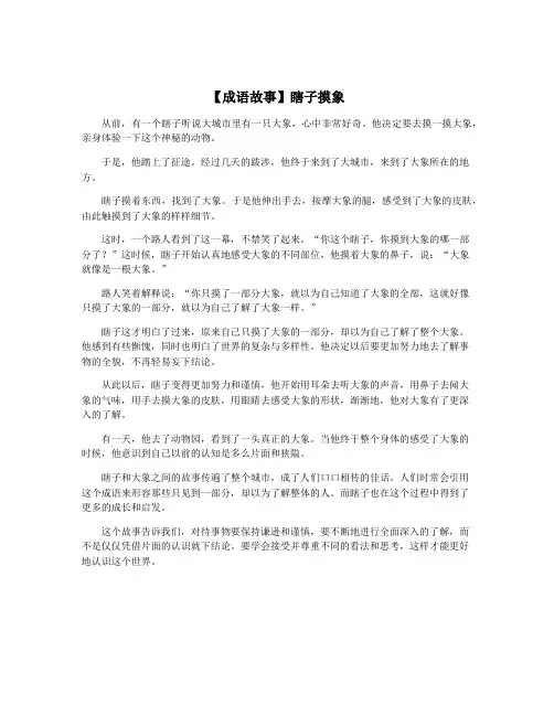 【成语故事】瞎子摸象