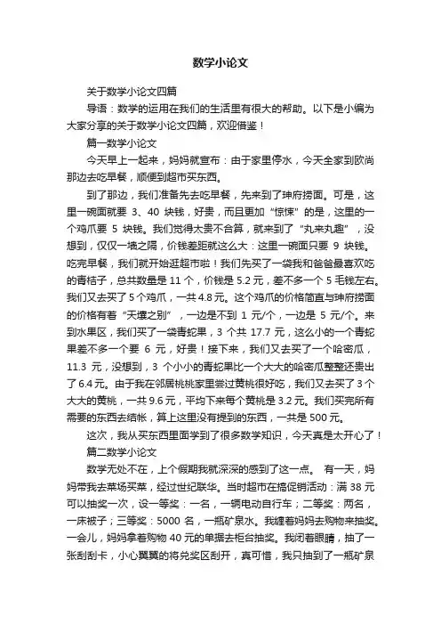 关于数学小论文四篇