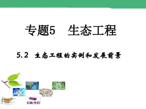 高中生物课件- 生态工程实例