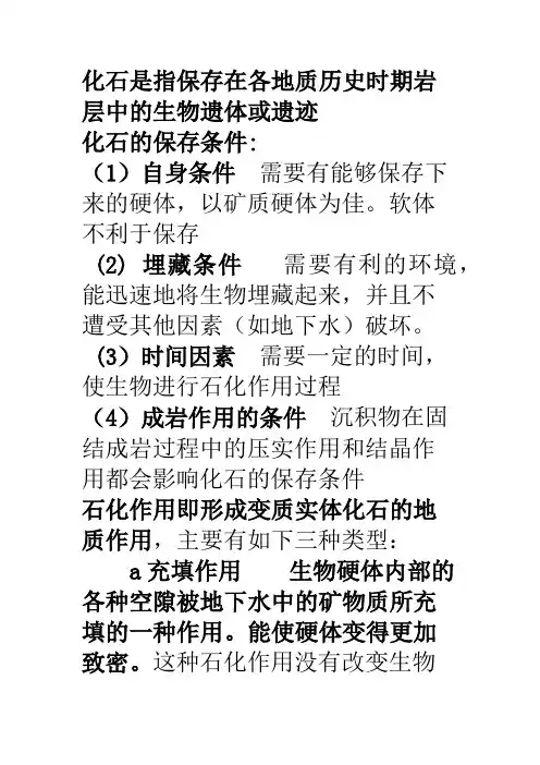 古生物学复习资料