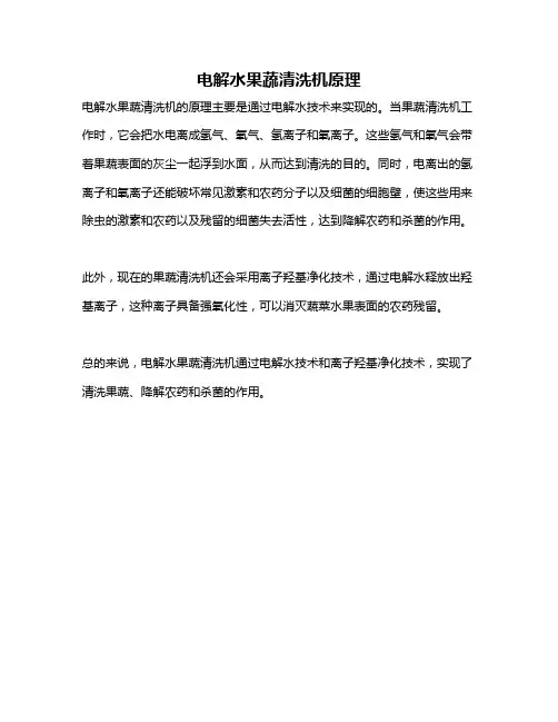 电解水果蔬清洗机原理