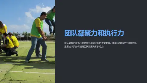 团队凝聚力和执行力