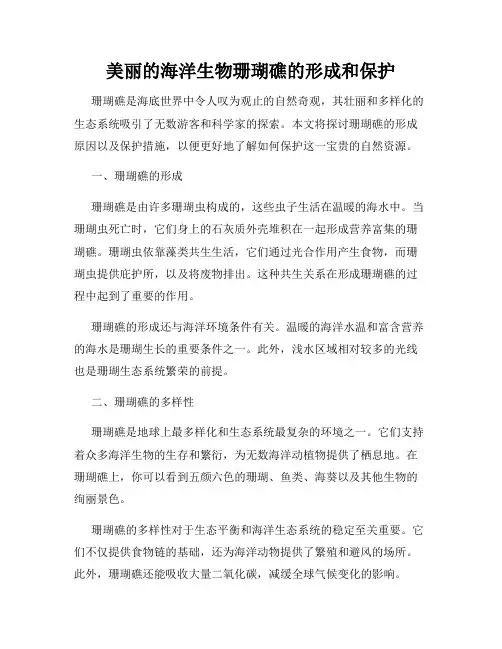 美丽的海洋生物珊瑚礁的形成和保护