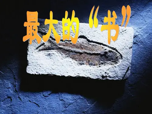 课标版二年级下册《最大的“书”》课件.ppt
