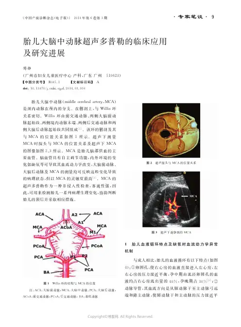 26999182_胎儿大脑中动脉超声多普勒的临床应用及研究进展