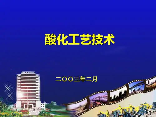 酸化工艺技术