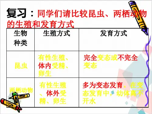 人教版生物《鸟的生殖和发育》_课件-完美版