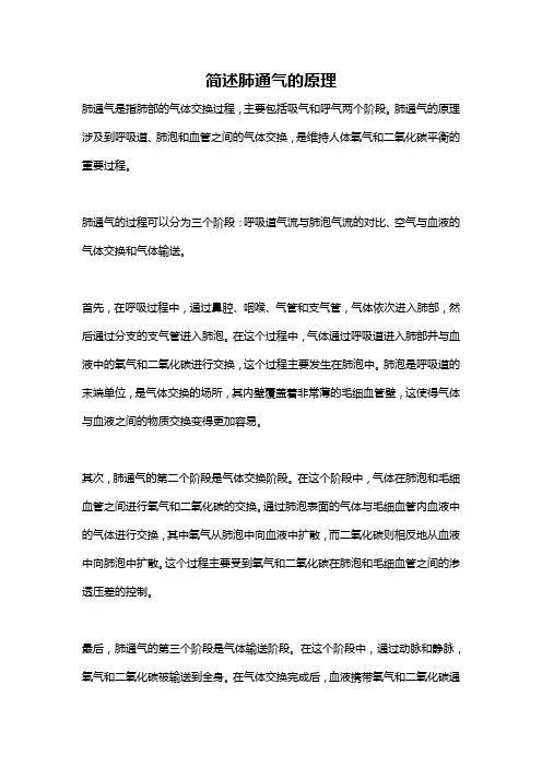 简述肺通气的原理