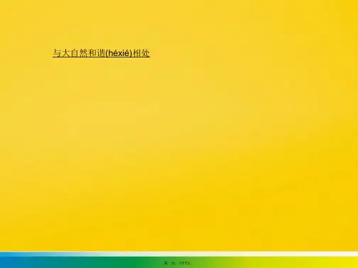 八年级政治下册 与大自然和谐相处复习课件 鲁教版标准版文档