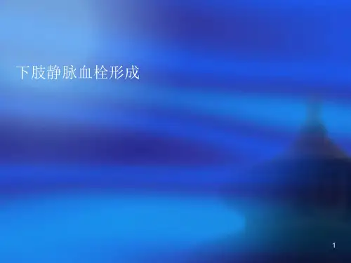 下肢静脉血栓详解ppt课件