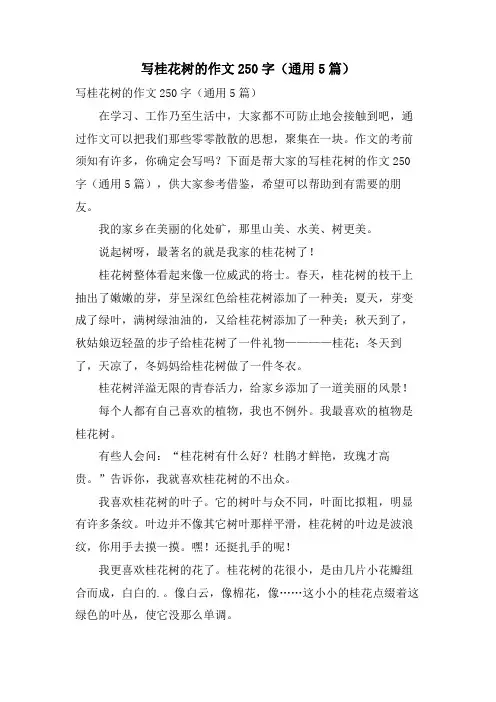 写桂花树的作文250字(通用5篇)