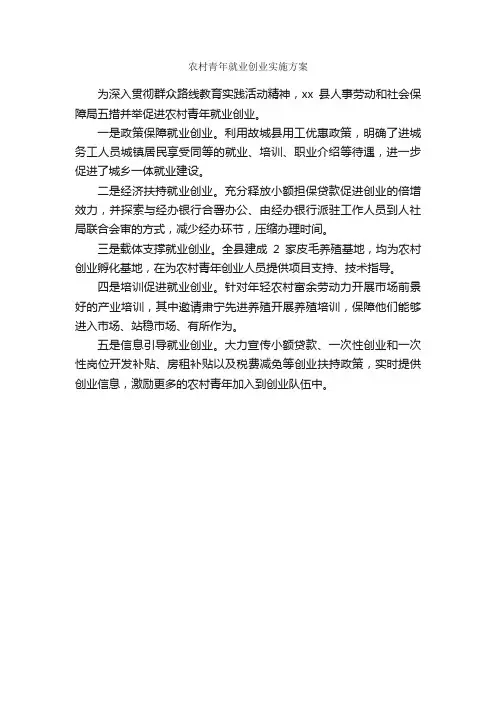农村青年就业创业实施方案_实施方案_