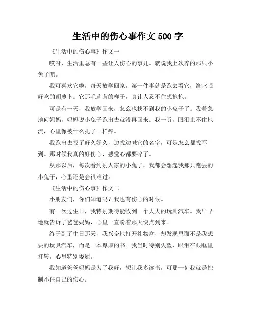 生活中的伤心事作文500字