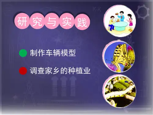五下研究与实践.专题1 制作车辆模型