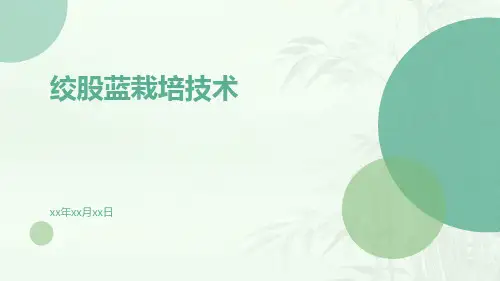 绞股蓝栽培技术