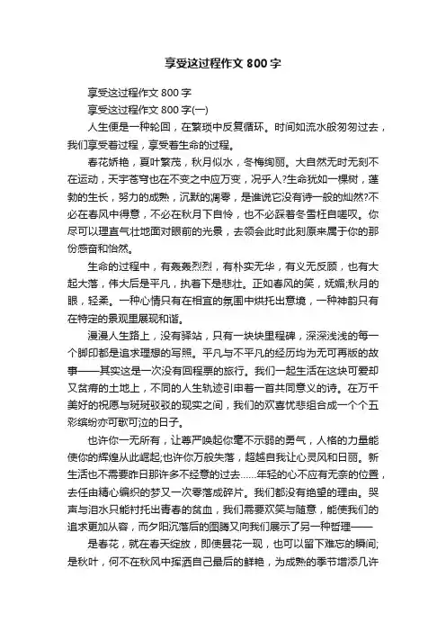 享受这过程作文800字