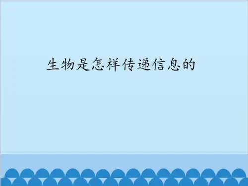 六年级下册科学PPT课件-17 生物是怎样传递信息的- 青岛版(共12张PPT)