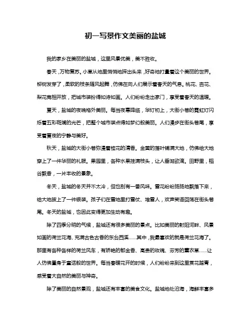 初一写景作文美丽的盐城