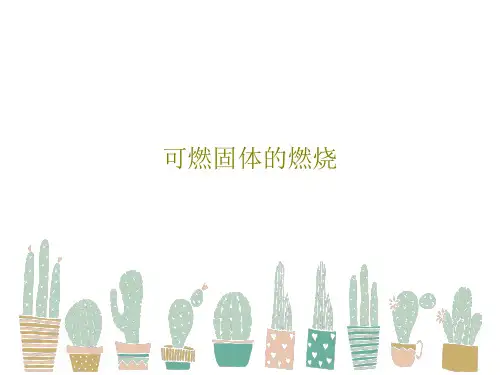 可燃固体的燃烧63页PPT