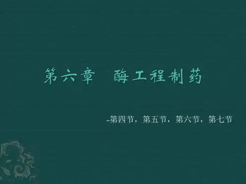 生物制药技术-第六章-酶工程制药(4,5,6,7)