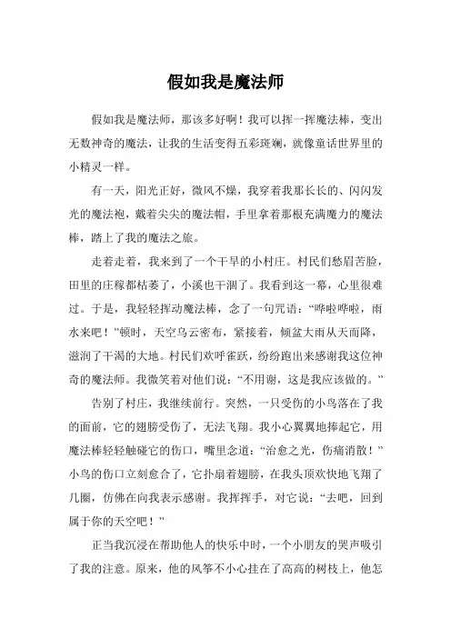 假如我是魔法师