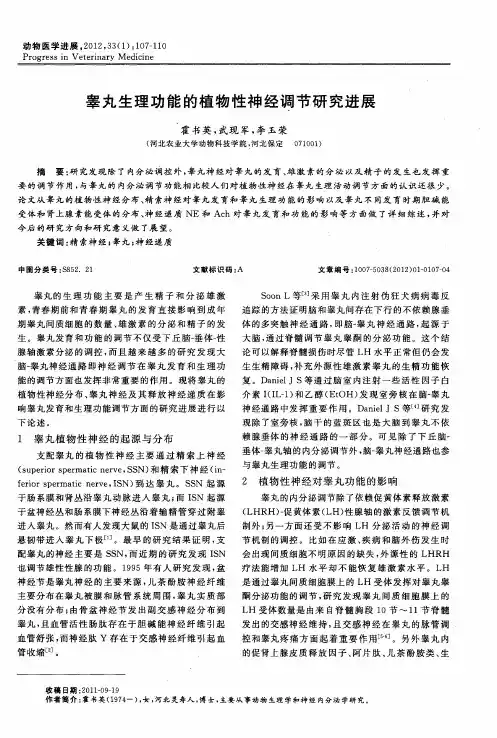 睾丸生理功能的植物性神经调节研究进展