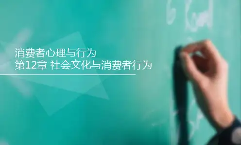 消费者心理与行为(第7版数字教材版)PPT课件12