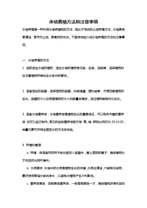 水培养殖方法和注意事项