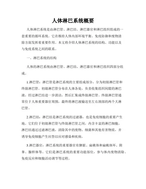 人体淋巴系统概要