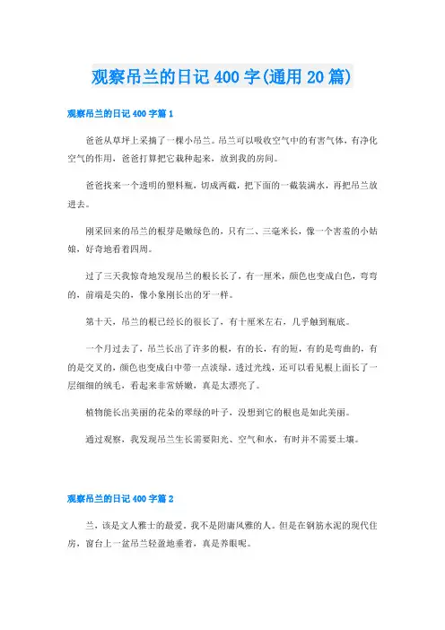 观察吊兰的日记400字(通用20篇)