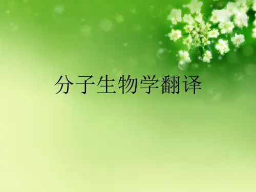 分子生物学翻译