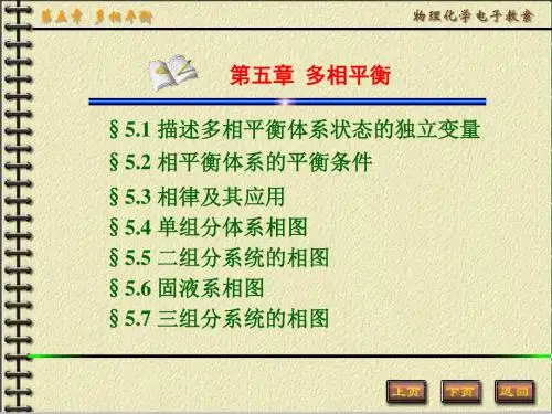 多相平衡