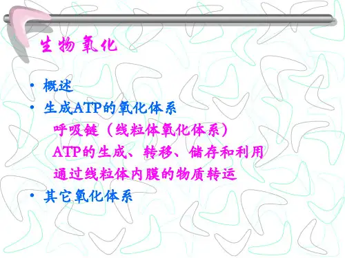 生物氧化