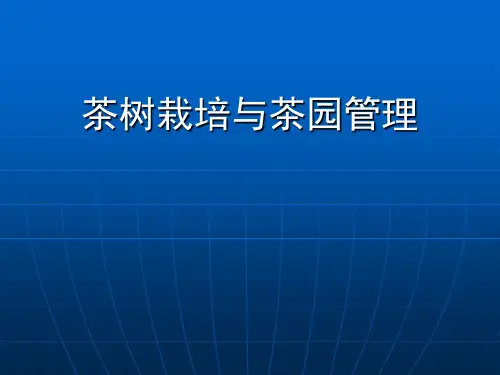 茶树栽培与茶园管理