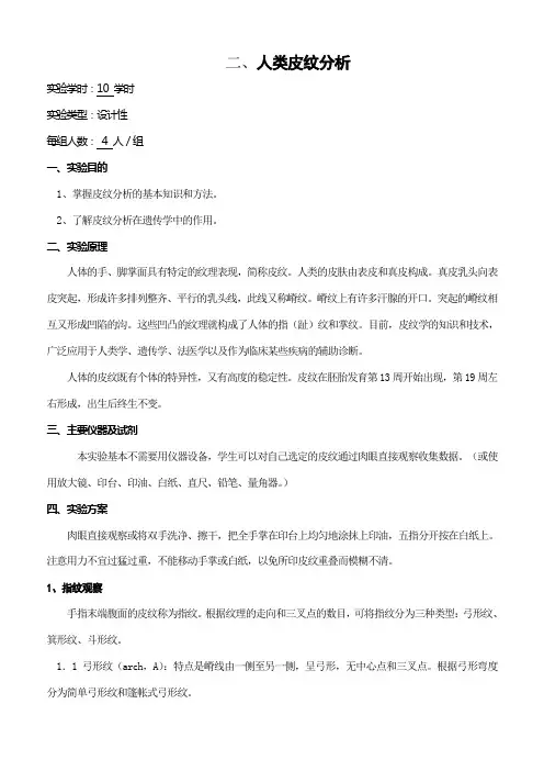二、人类皮纹分析