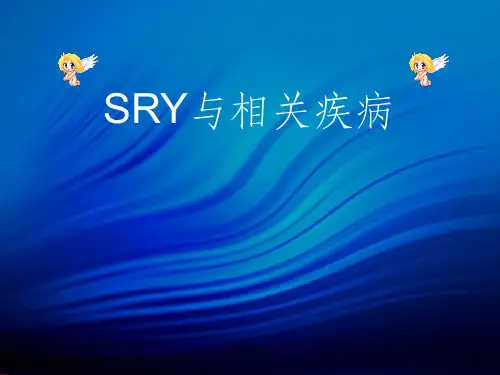 《SRY与相关疾病》