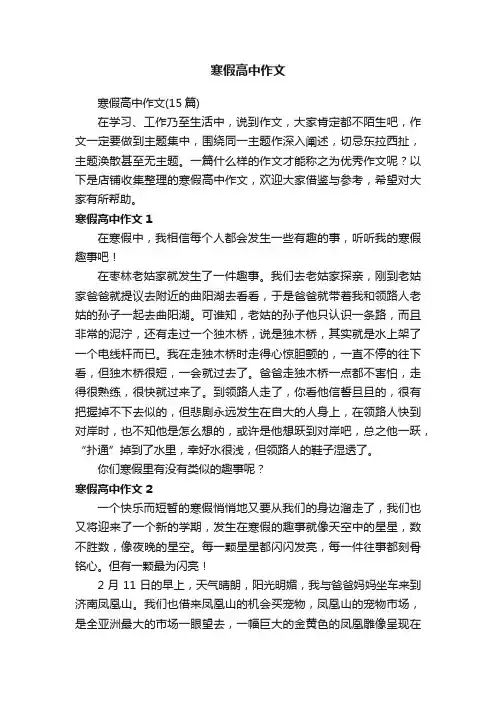 寒假高中作文